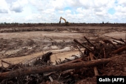 Pembukaan hutan untuk proyek pemerintah di Gunung Mas, Kalimantan, 5 Maret 2021. (Foto: AFP/Galih)